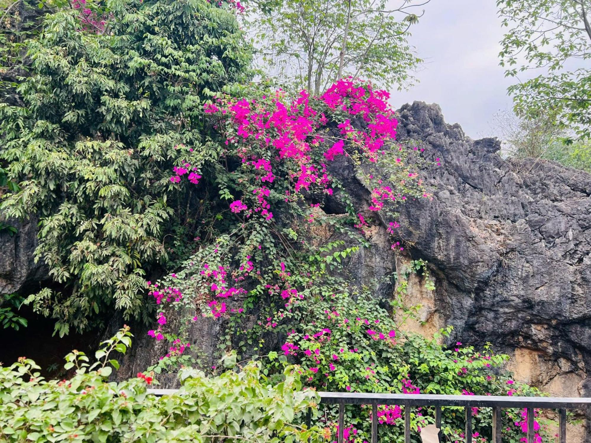 Mai Chau 4 Seasons Bungalow & Hotel Екстер'єр фото
